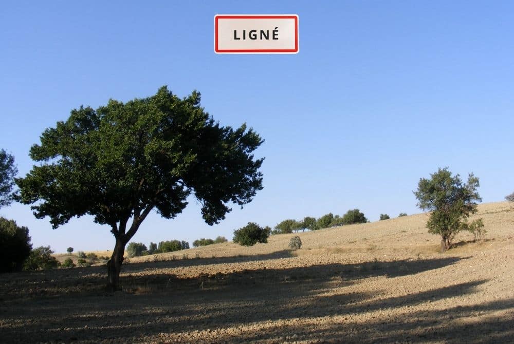 Menuiseries extérieures Ligné